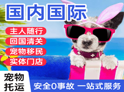 黄山屯溪空运代理国际宠物托运 【国
